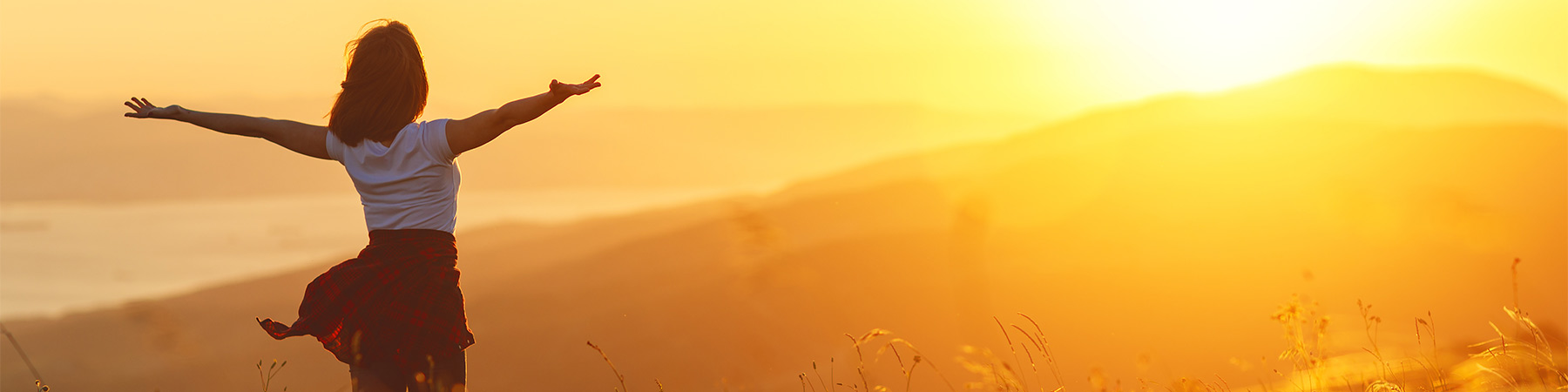 header/h_160168732.jpg